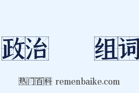 政治運動组词是什么意思的图片